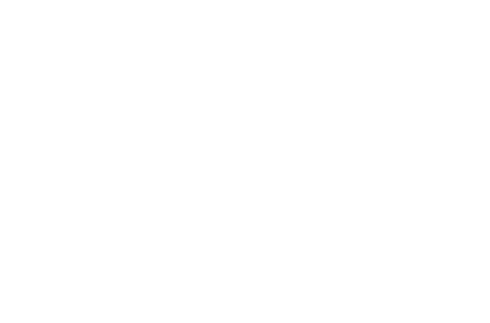 Stephani-IT